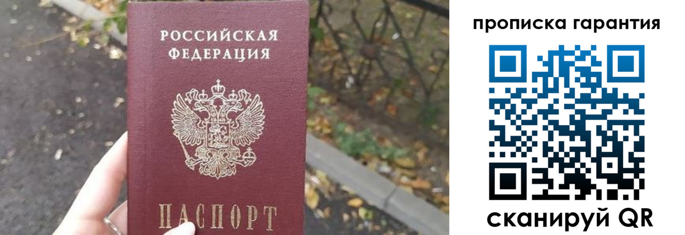 где прописаться в Ногинске
